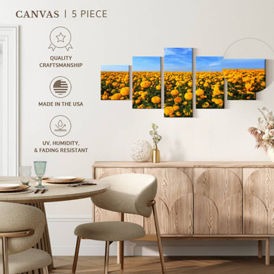 Marigold Field