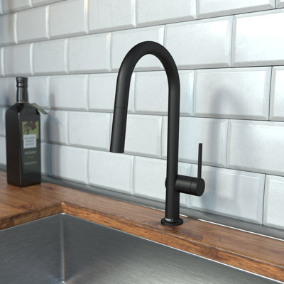 hansgrohe Talis N HighArc Kitchen Faucet, A-Style 2-Spray Pull-Down, 1.75 GPM