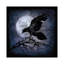 Corbeau par Martin Wagner - estampe numérique sur toile tendue avec châssis-20922527-73091841-73091842