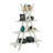 Darek Ladder Bookcase-1381162599