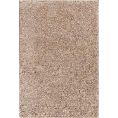 Indoor Rug