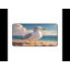 Desk Pad-759457566