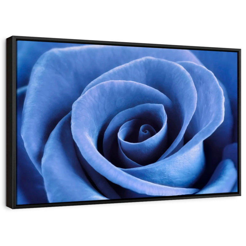 Impression sur toile Denim Blue Rose, H 9 po x l 13 po