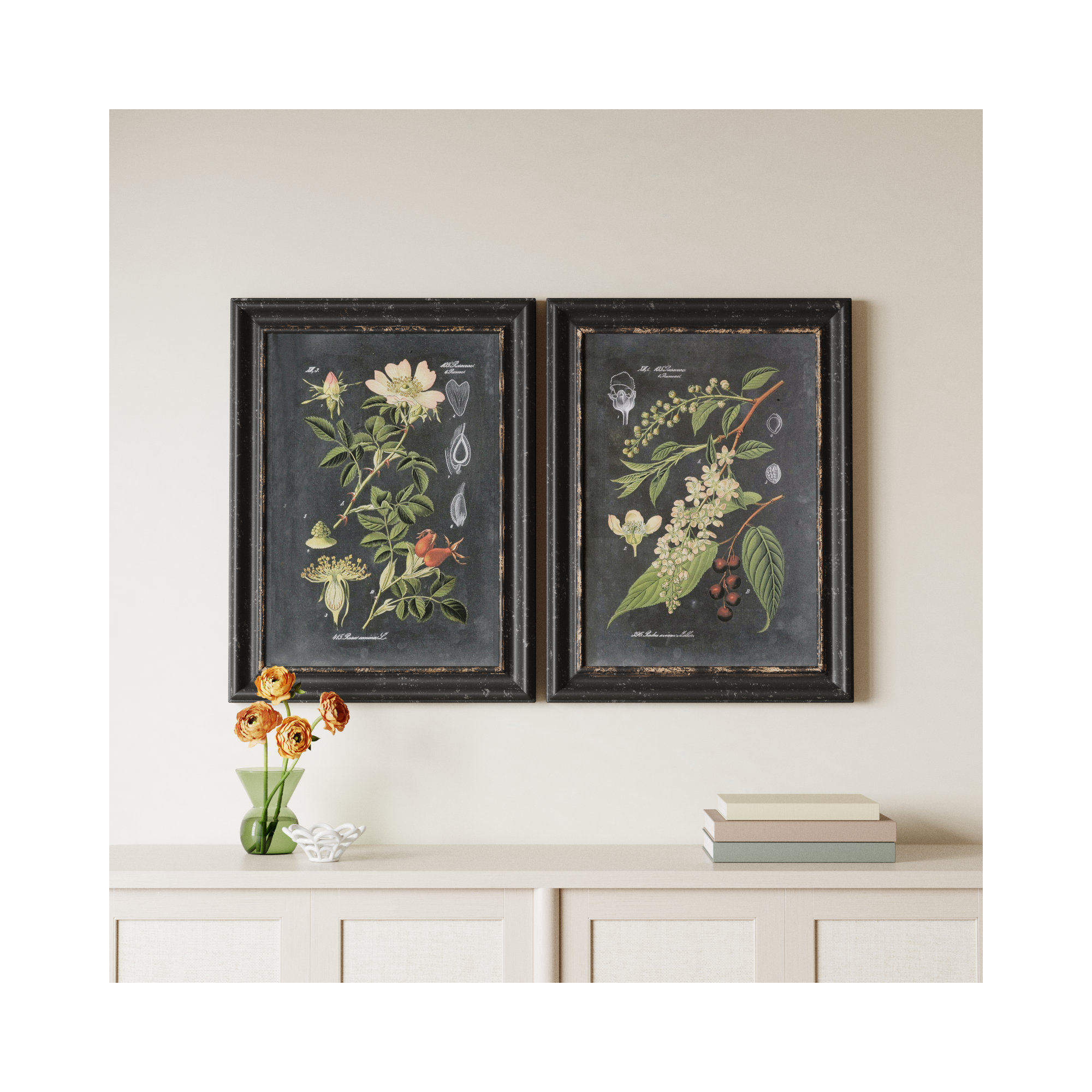 Bergenfield "Midnight Botanicals" by Vision Studio 2-Piece Framed Graphic Art Print Set