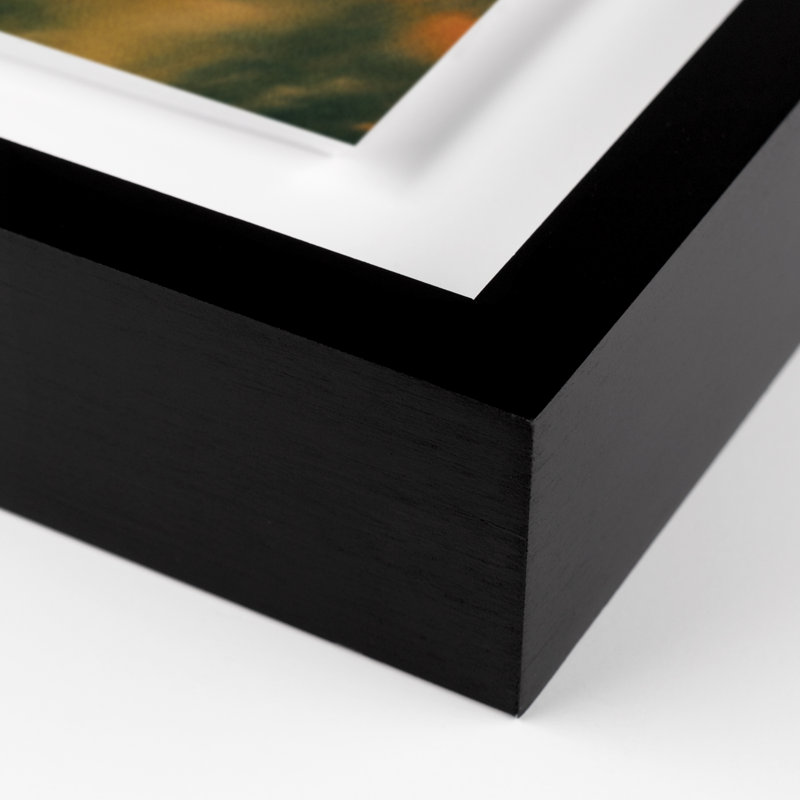 Prairie I Print by Coup D'Esprit, 24" H x 32" W x 1.5" D, Black