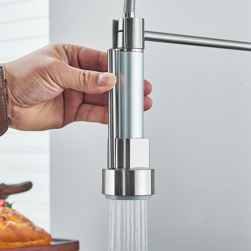 Belfry Kitchen Keenes Pull Down Kitchen Faucet
