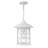Freeport 1-Light Outdoor Hanging Lantern