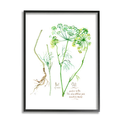 Dill Greens Best Of Herbs Watercolor Garden Plants - Painting