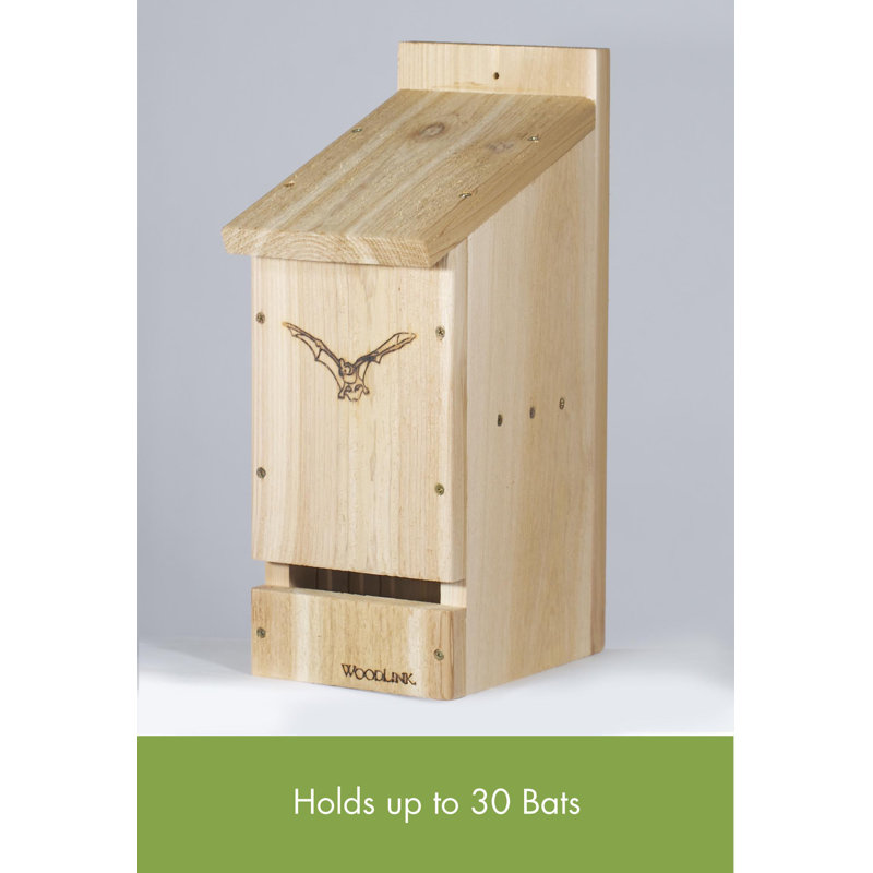 17.5'' H x 7'' W x 9.75'' D Water Resistant Bat House