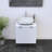 Lissia 23.6'' Single Bathroom Vanity with Top-1093347522-1093347521
