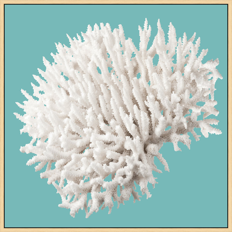 Coral Aqua 7' Framed Photographic Print