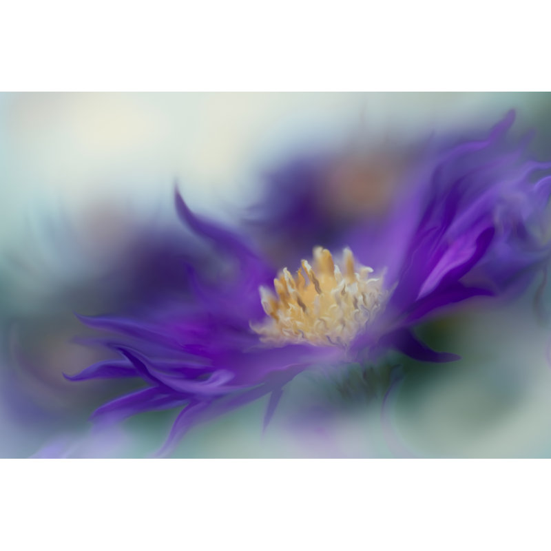 Gold and Purple in the Mist I by Gillian Hunt - Photograph, 30 cm H x 46 cm W, Wrapped Canvas