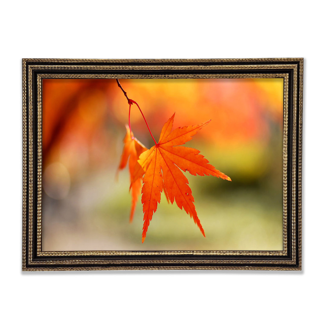 Orange Leaves Sparkle Gerahmter Druck