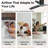 52" Solid Wood Ceiling Fan with Light, Remote+Wall Control, Low Profile Flush Mount, High Airflow Low Noise Reversible DC Motor, 6-Speed 3CCT Dimmable ﻿-1297924508-1297924506