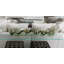 Casa Moderna Faux Succulent in Glass Planter