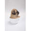 Statue de chiot carlin dans une tasse