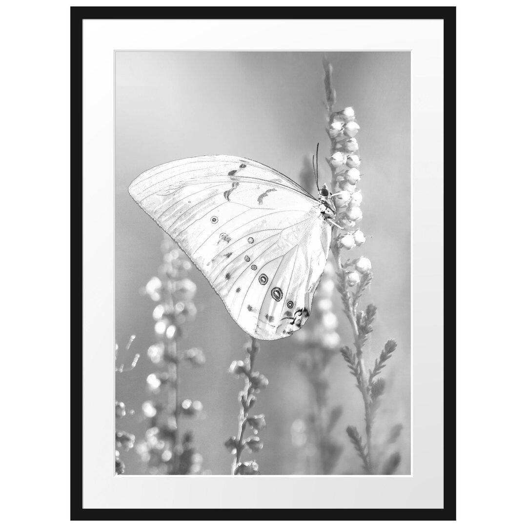 Gerahmtes Poster Schmetterling auf Blütenknospen