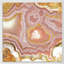 "corail luster" , impression sur toile tendue-74427882-74427880-74427881