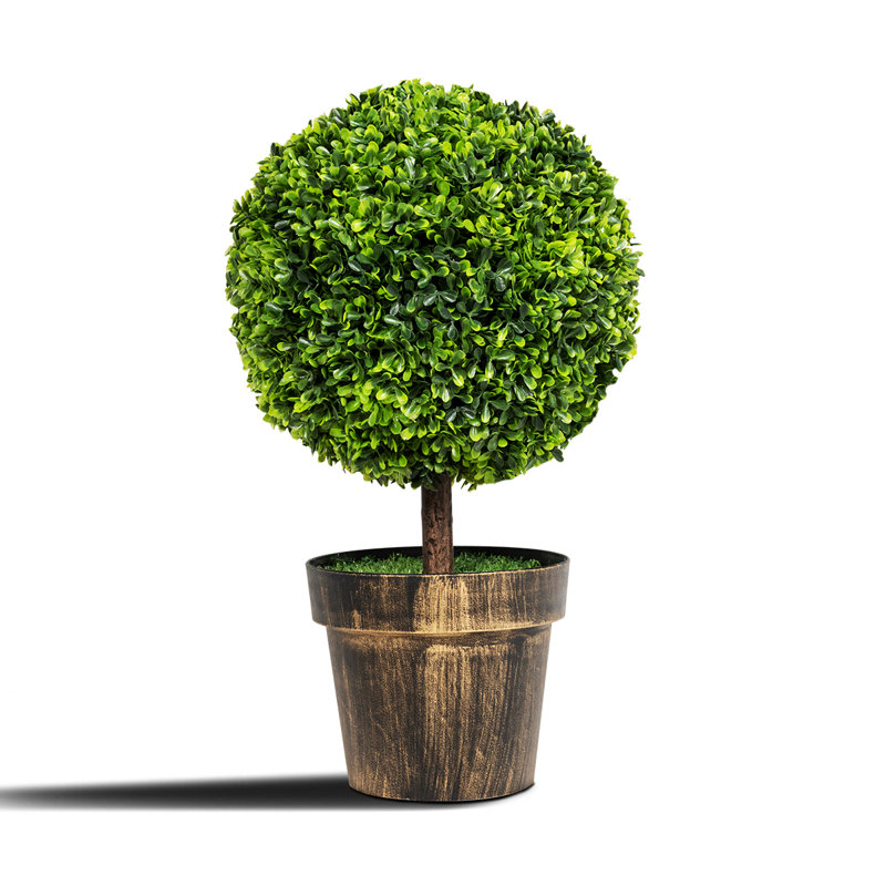 22'' Faux Boxwood Tree in Pot