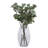 Aglaia Arrangement