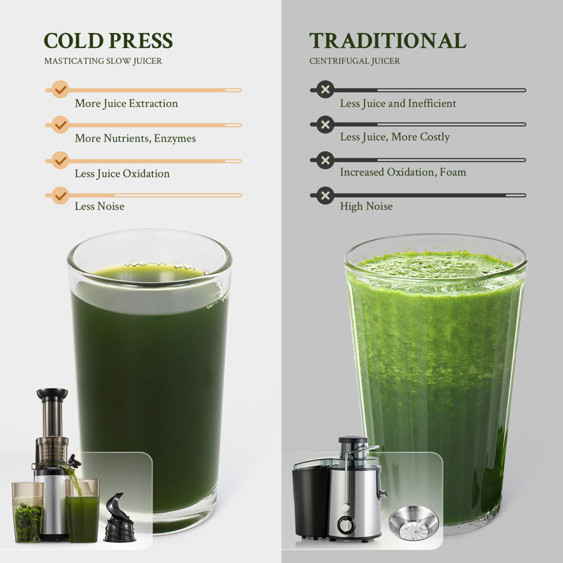 Compact Masticating Slow Juicer - Cold Press Technology for Maximum Nutrients, Easy to Clean & Assemble (Silver), Silver