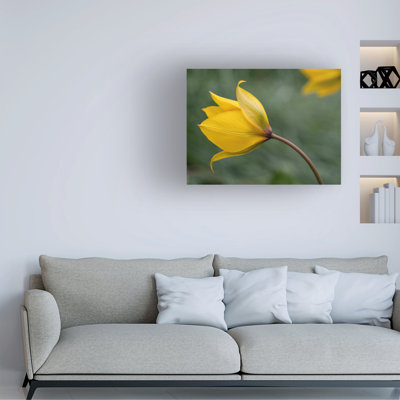 Suzanne Bonin That Way Canvas Art