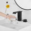 2-handle Bathroom Faucet with Drain Assembly-1238135597