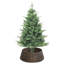 Water Hyacinth Tree Collar