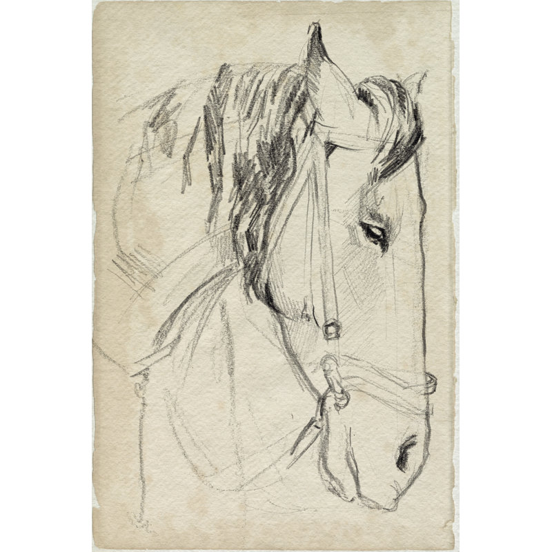 Horse In Bridle Sketch I by Jennifer Paxton Parker - Print on Canvas, Black Floater Framed, 46 cm H x 30 cm W