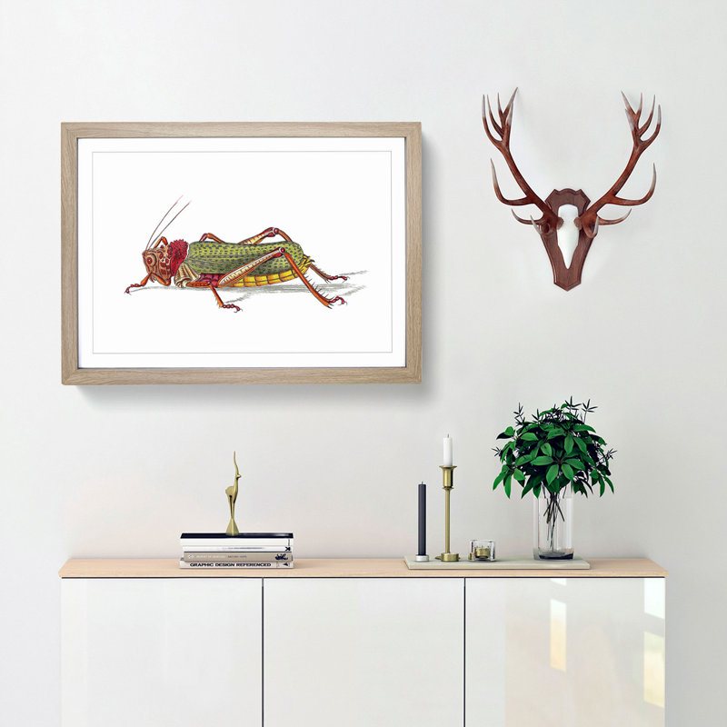 Granulated Locust by George Shaw - Framed Print, 27cm H x 36cm W x 2cm D, Oak Framed