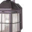 Lanterne murale d'extérieur 14,5 "H-366176892