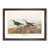 Walnut Framed selected
