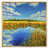 Toile avec cadre flottant or