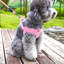 Harnais pour chien Pet Leash-131214677