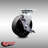 Swivel Caster