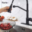 Rainlex Pull Down Kitchen Faucet