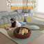 Man Friend Comfort WOWMAX Cuddler Dog Bed For Small And Medium Dogs Up To 13.6 kg, Bolstered Round Cozy Pet Bed With Double Sided Mat For All Season Comfort(Large)-1849608877