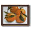 Citrus Grouping II, peinture sur toile encadrée-1841097463