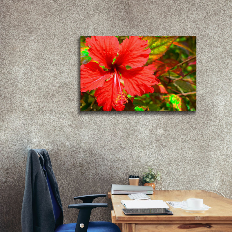 Red Hibiscus par Don Spears - reproduction d'art sur toile tendue, H 26 po x l 40 po x P 1,5 po