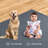 Amorra Furnish my Place Modern Indoor/Outdoor Commercial Solid Color Rug - Pet and Kids Friendly Rug, Stain Resistant, Floor Carpet for Living Room & Hallway, Wedding - Petrol Blue-724540541