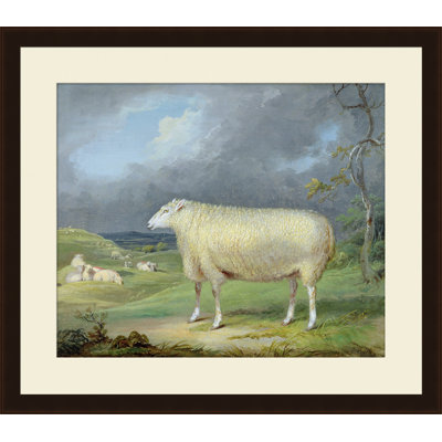 A Proper Sheep Giclee Print