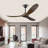 Caeden Ceiling Fan-1552286035-1549881012-1562742216