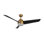 Thalia Smart LED Downrod Ceiling Fan