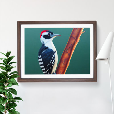 Select Woodpecker Bird - Framed Print