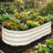 12" Tall 4x2 ft (2 Pcs) Module Metal Raised Garden Bed-1566090034