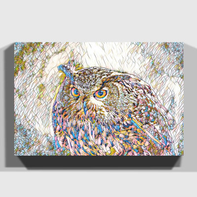 Owl Bird 4 - Wrapped Canvas
