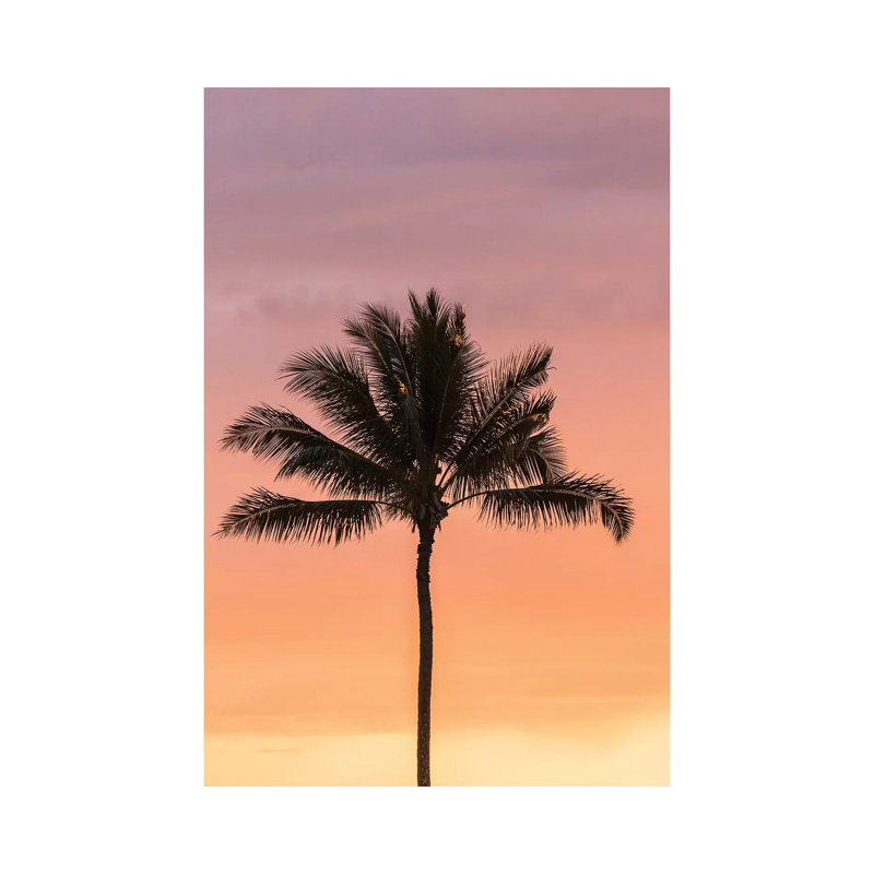 USA, Hawaii, Kauai, Lawai. Palm Tree At Sunset. by Jaynes Gallery - Wrapped Canvas Print, 20.32 cm H x 30.48 cm W