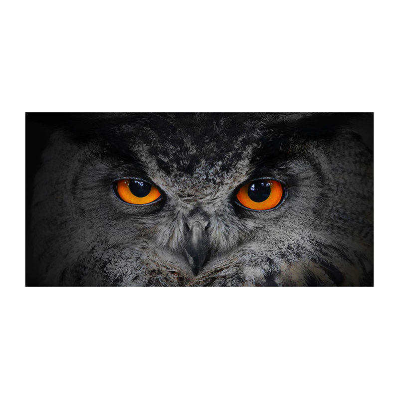 Devil'S Eyes Of An Owl - Print on Canvas, Canvas, 70cm H x 140cm W