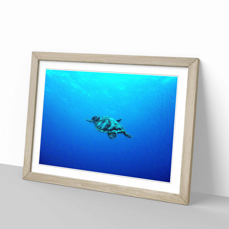 Swimming Turtle - Picture Frame Painting Print, Oak Framed, 27cm H x 36cm W x 2cm D