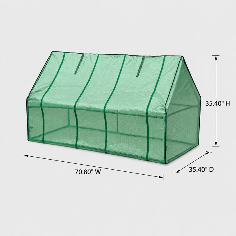 Greenhouse, 2'11" H x 5'11" W x 2'11" D